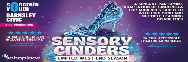 SENSORY CINDERS